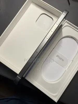 Apple iPhone 16 Pro Max 256 GB White