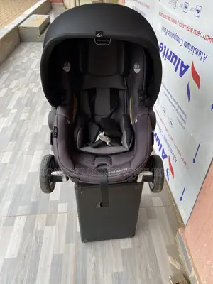 Car Seater