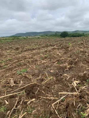 Available Lands at Amasaman-Danchira