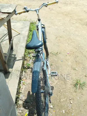 Mountain Bycicle