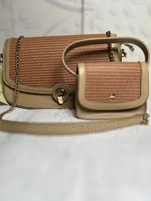 Ladies Hand Bag