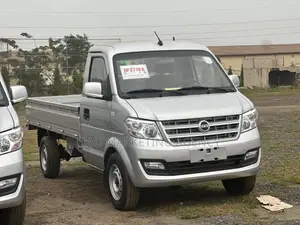 DFSK C31 Mini Truck 2025 Silver
