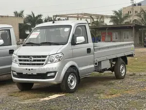 DFSK C31 Mini Truck 2025 Silver