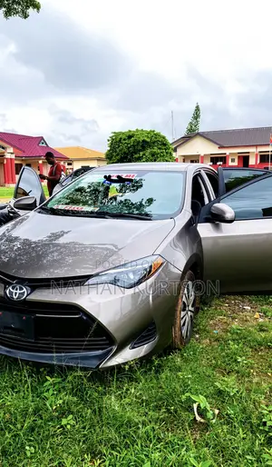Toyota Corolla LE (1.8L 4cyl 2A) 2019 Brown