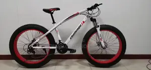 The Bike Master