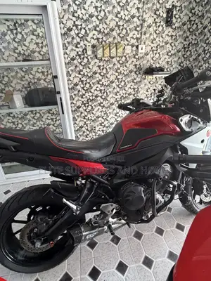 BMW S 1000 R 2019