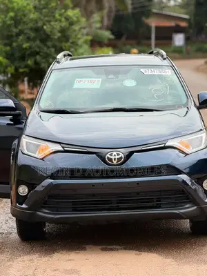 Toyota RAV4 XLE AWD 2019 Blue