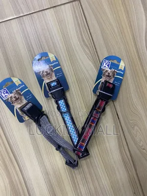 Dog Collar 2.5cm