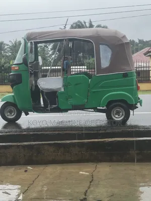 New Bajaj Avenger 200 2026 Green