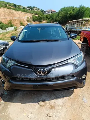 Toyota RAV4 2018 Gray