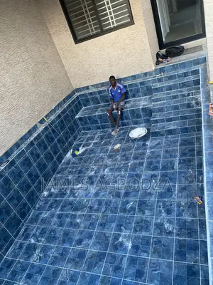 Good Professional Pool Tilling Master