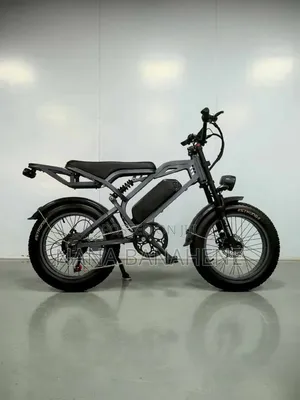 Brand New V20 Electric Bike - Highest Quality and Speed
