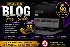 Established Ghana Blog Entertainment Website for Sale