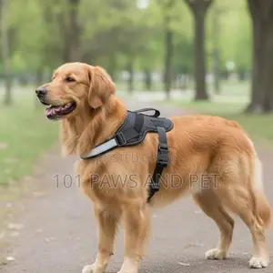 Adjustable, Durable Reflective Vest Dog Harness