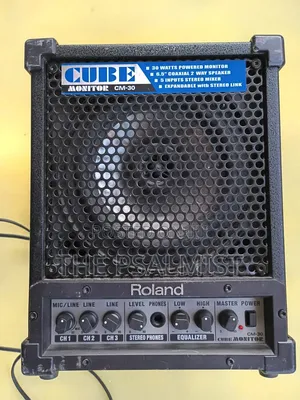 Roland Monitor CM-30