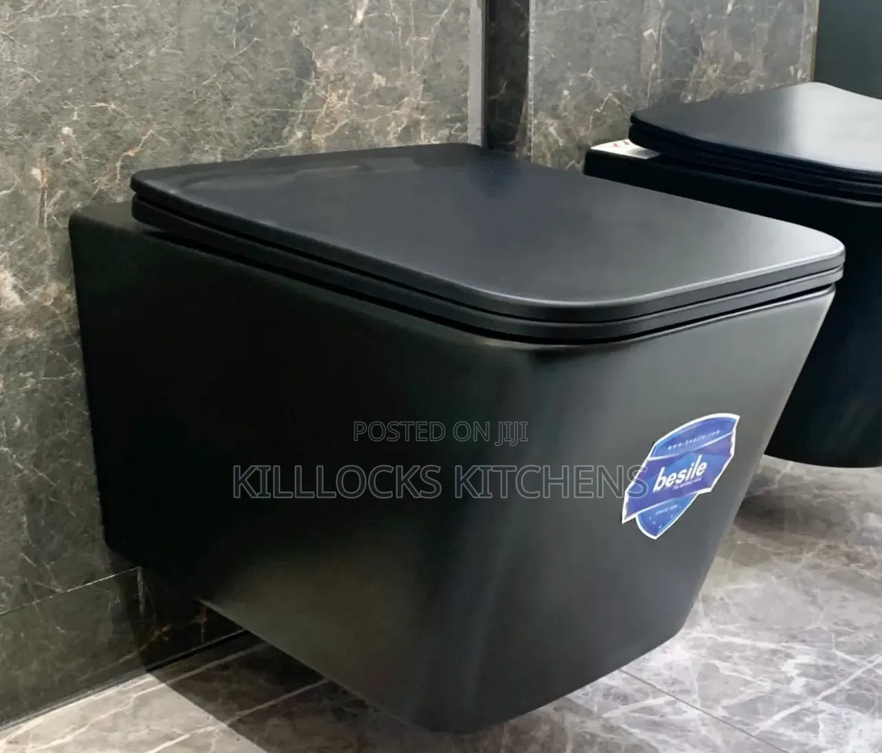 Concealed Hidden Toilet Seats