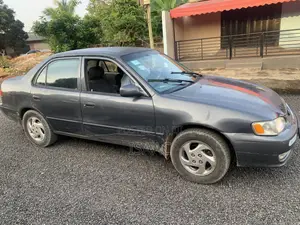 Toyota Corolla 2003 Gray