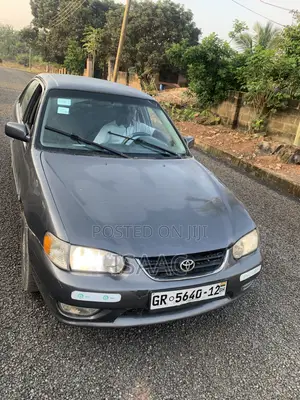 Toyota Corolla 2003 Gray