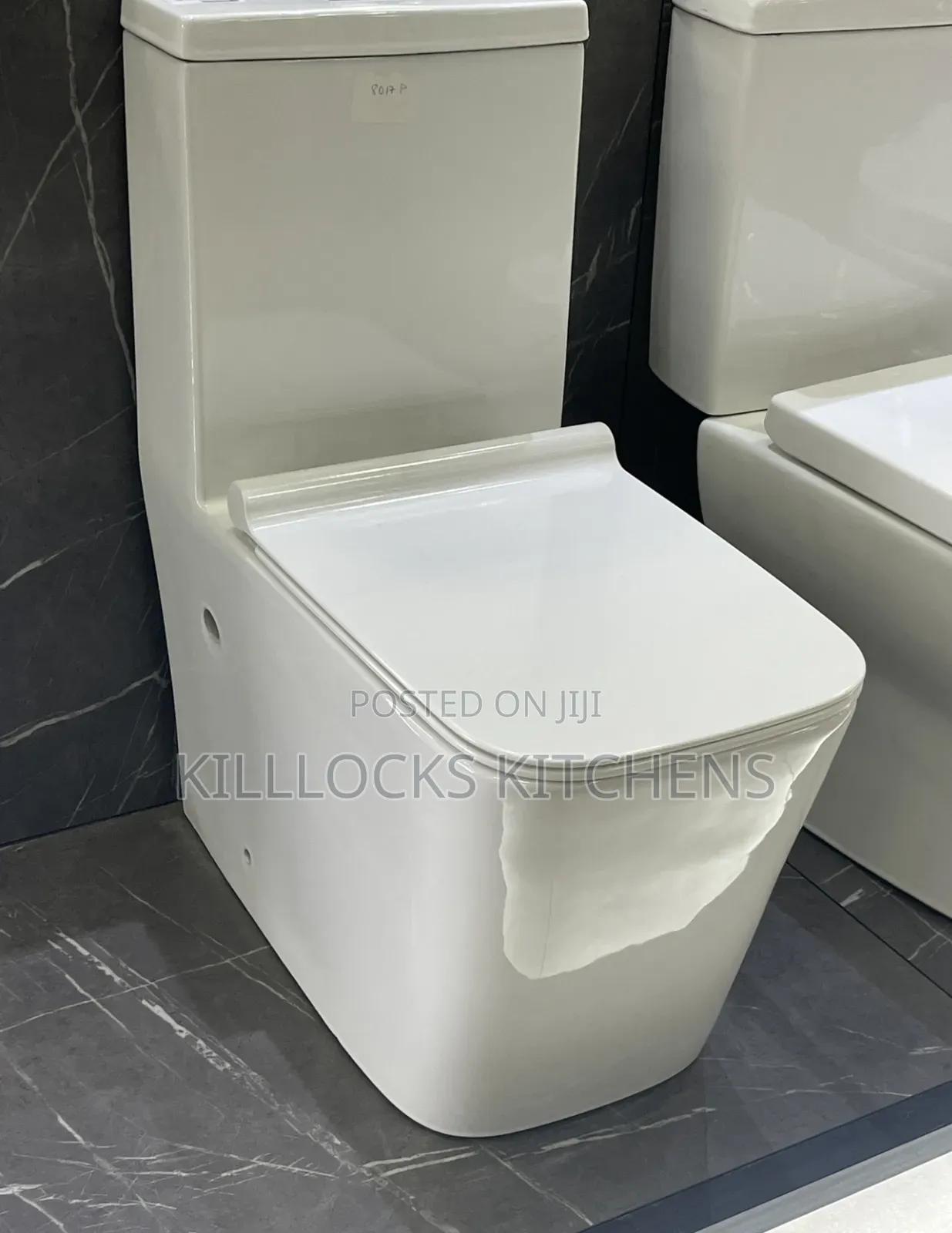 P Trap S Trap Watercloset