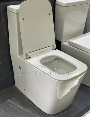 P Trap S Trap Watercloset