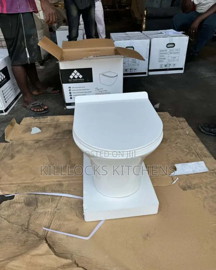 Concealed Watercloset - Wall Hung Toilet Seat Only
