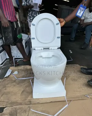 Concealed Watercloset - Wall Hung Toilet Seat Only