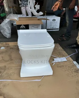Concealed Watercloset - Wall Hung Toilet Seat Only
