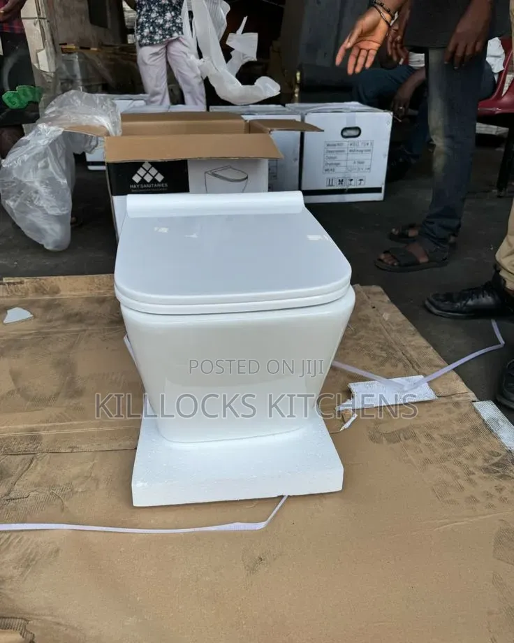 Concealed Watercloset - Wall Hung Toilet Seat Only