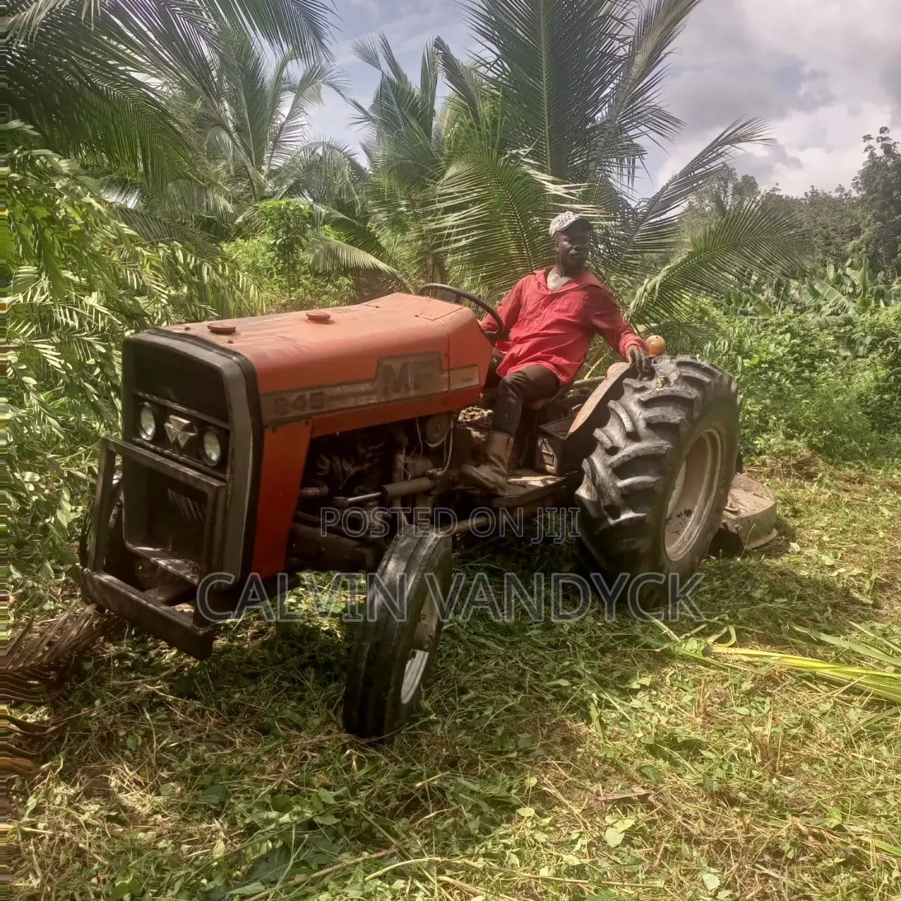 Massey Ferguson MF245 Tractor