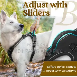 Doggy Puffy Harness