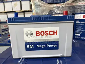 17 Plate Bosch Battery