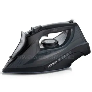 Electric Steam Iron