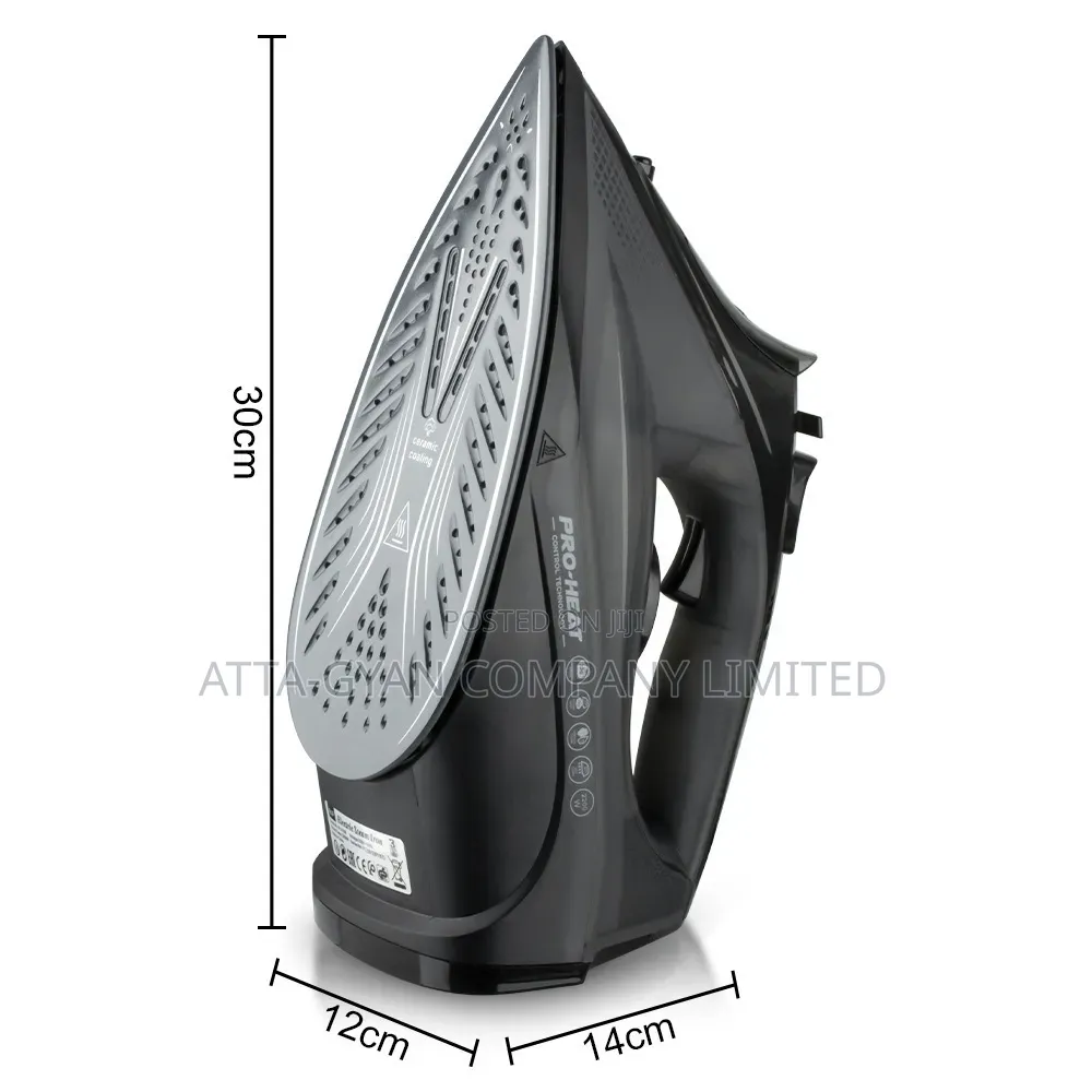 Electric Steam Iron