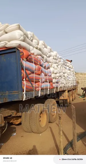 Aflatoxins Free Maize Available