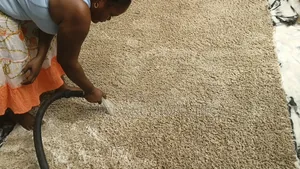 Kumasi and Accra Sofa,carpets and Mattresses Cleaning