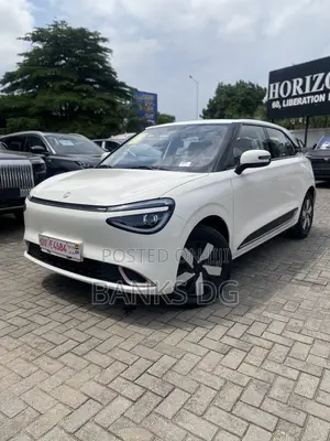 New Dongfeng Nammi 01 31.45 kWh 330 Plus 2025 White