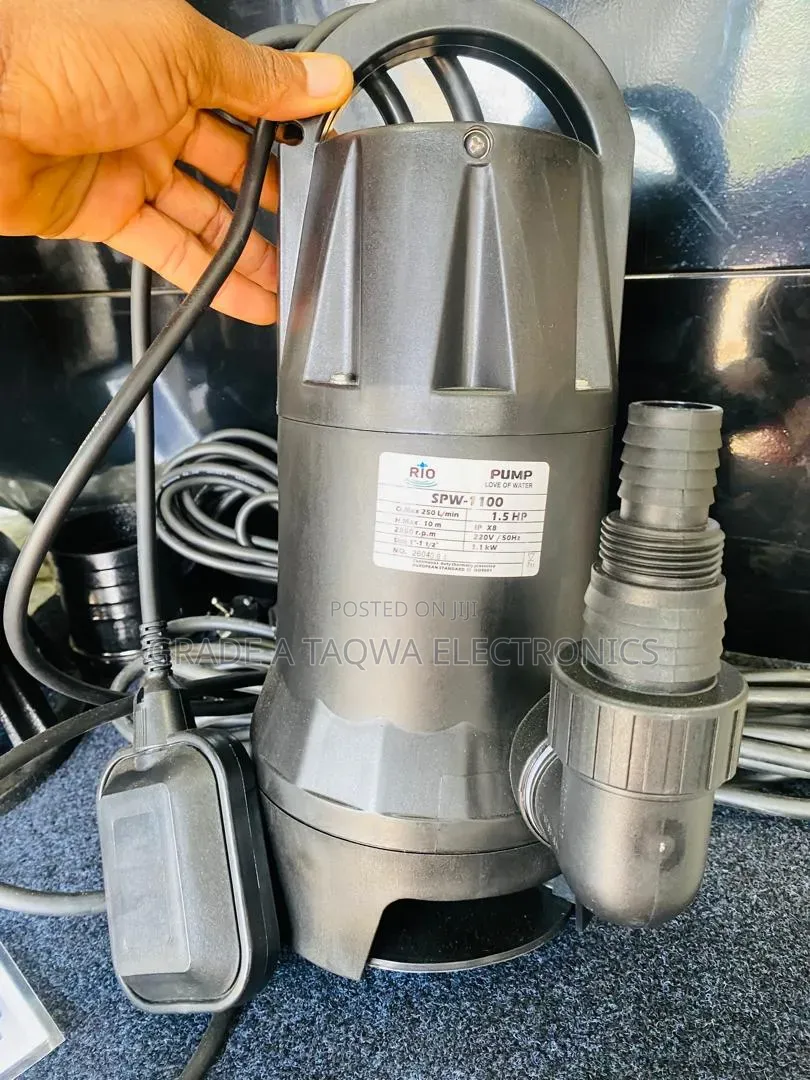 Garden Works With Rio 1.5Hp Garden Submersible Water Pump