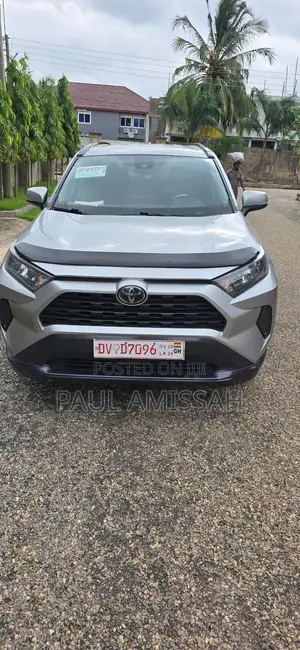 Toyota RAV4 LE AWD 2019 Silver