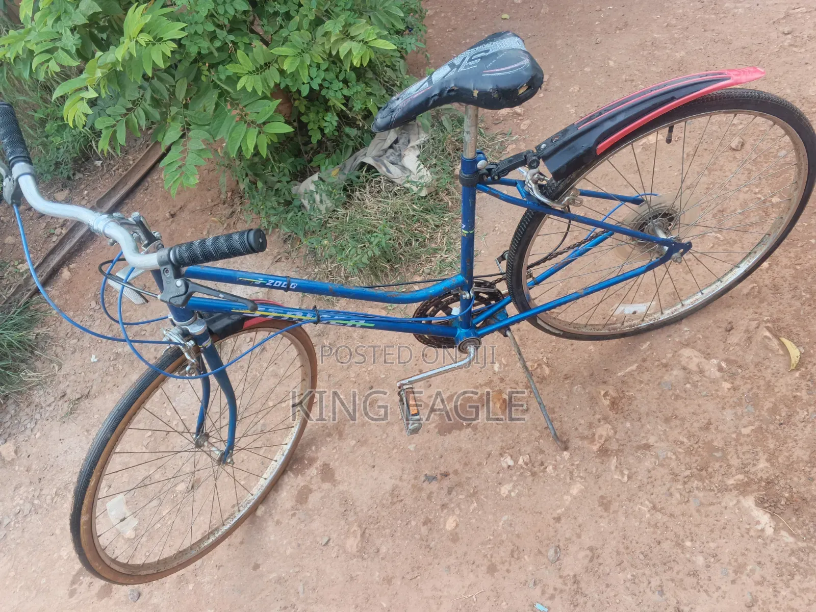 Ride and Go Bicycle