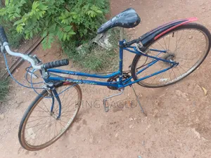 Ride and Go Bicycle