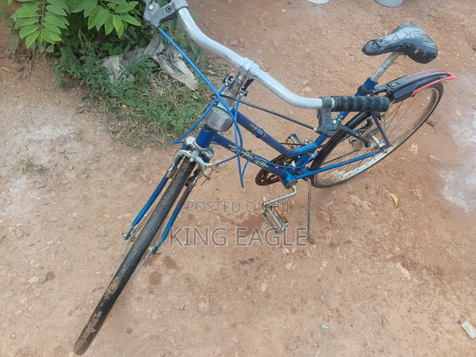 Ride and Go Bicycle
