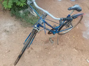 Ride and Go Bicycle