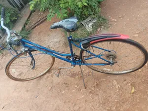 Ride and Go Bicycle