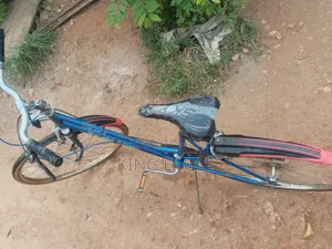 Ride and Go Bicycle