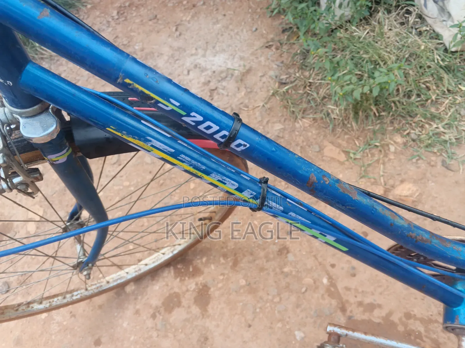 Ride and Go Bicycle