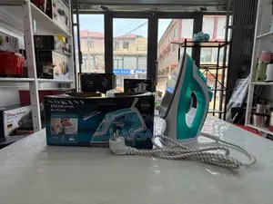 Steam Iron