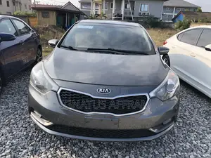 Kia Forte EX Sedan 2016 Gray