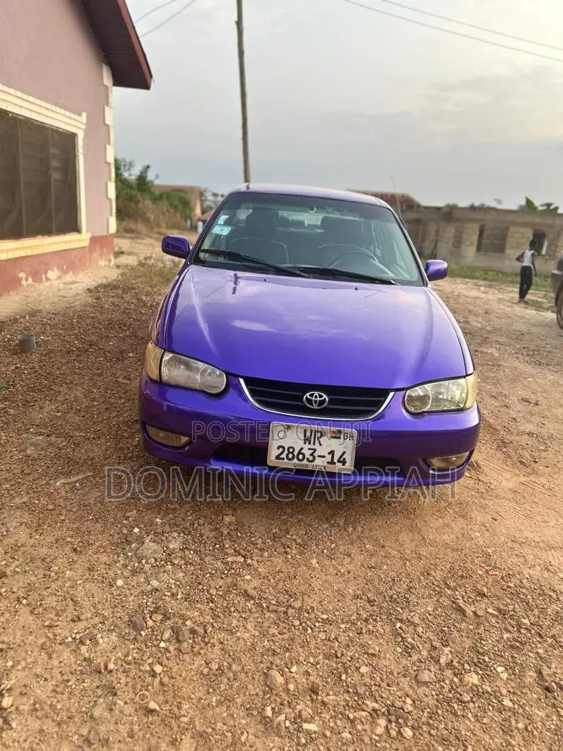 Toyota Corolla 2007 Purple