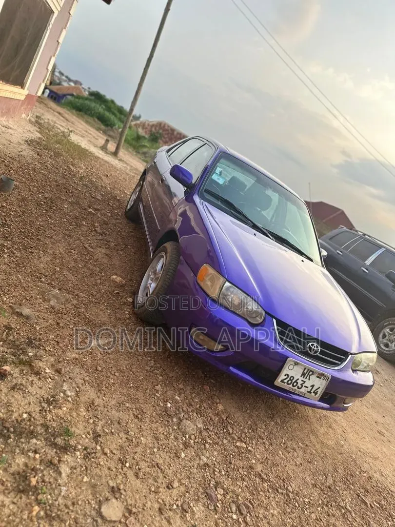 Toyota Corolla 2007 Purple