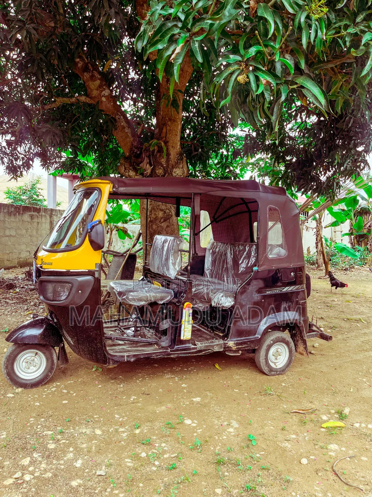 Tricycle 2025 Black